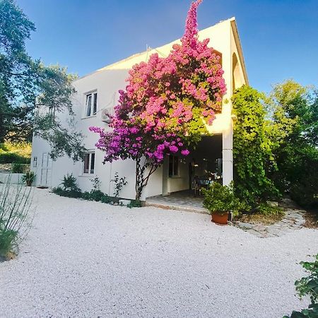 Poljica  Olive Garden Apartments מראה חיצוני תמונה