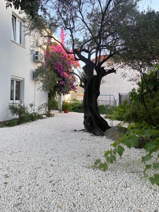 Poljica  Olive Garden Apartments מראה חיצוני תמונה