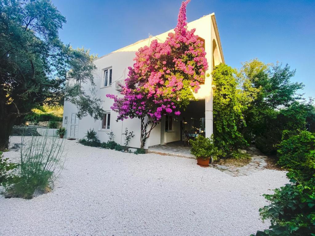 Poljica  Olive Garden Apartments מראה חיצוני תמונה